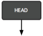 HEAD pointer
